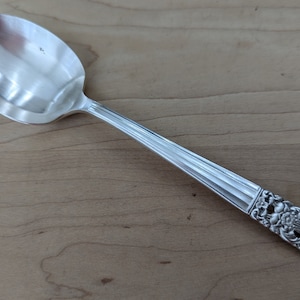 Può includere: Un cucchiaio d'argento con un manico decorato. Il manico presenta un motivo floreale ed è dettagliato con linee.