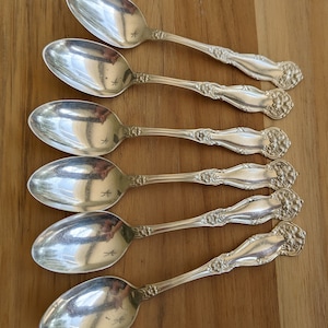 Antique Wm Rogers & Son 1908 ARBUTUS Teaspoon 5 7/8&quot;, Set of 6