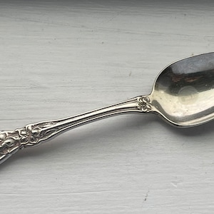 Antique Wm ROGERS Son 1910 ORANGE BLOSSOM Fruit/Orange Spoon 6&quot;