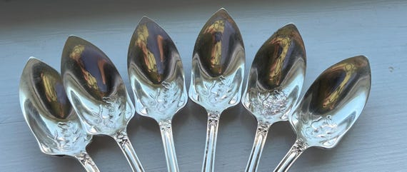 アンティーク 1847年製 ROGERS Bros 1906年製 CHARTER OAK フルーツ