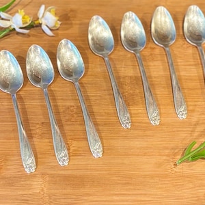 May include: A collection of seven silver spoons arranged on a wooden surface, with floral detailing on the handles. The spoons are positioned in a row, with a few sprigs of white and yellow flowers and green leaves.