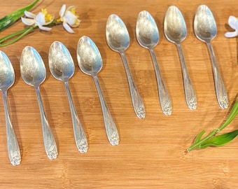May include: A collection of seven silver spoons arranged on a wooden surface, with floral detailing on the handles. The spoons are positioned in a row, with a few sprigs of white and yellow flowers and green leaves.
