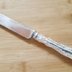Puede incluir: Un cuchillo de mantequilla de plata con un mango adornado. La hoja es lisa y pulida.