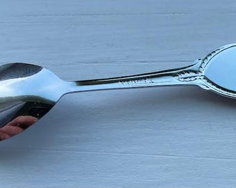 美しいヴィンテージ コレクターズアイテム テネシー スーベニア