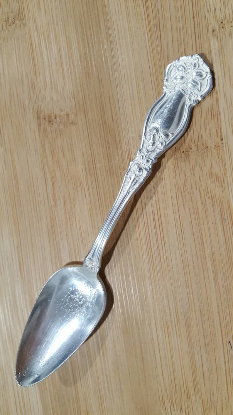 Antique Wm ROGERS Son 1910 ORANGE BLOSSOM Teaspoon 6 Set of 2