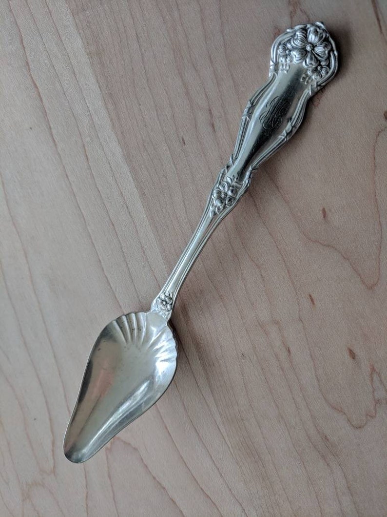 Mono J M C Antique Wm Rogers /& Son 1908 ARBUTUS Shell Bowl Individual PapFruit Spoon 6