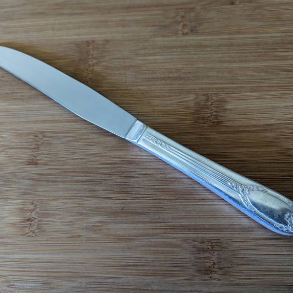 Vintage Rogers Bros 1937 GARLAND/RAPTURE Modern Hollow Dinner Knife 9"