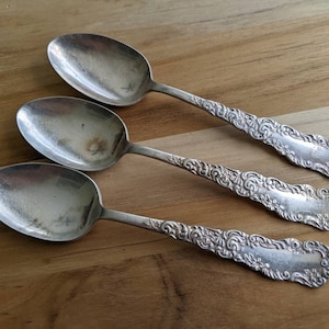 Antique Wm ROGERS & Son 1894 FLORIDA Teaspoon 5 3/4&quot;, Set of 3