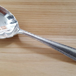 May include: A silver sugar spoon with a decorative handle. The spoon has a rounded bowl and a beaded edge.