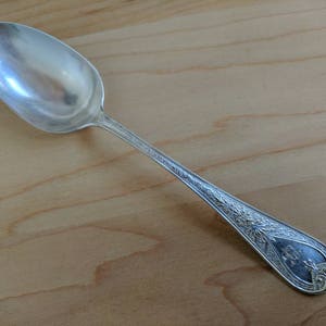Antike BAILEY BANKS Biddle Sterling Silber 1878 HINDOSTANEE Teelöffel 6" Mono E R, 2er Set