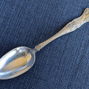 May include: A silver teaspoon with an ornate handle featuring a grapevine design. The spoon has a polished finish and is in good condition.