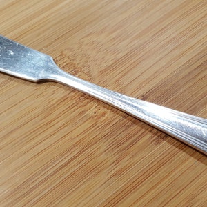 May include: A silver butter knife with a rounded blade and a decorative handle. The handle has a series of ridges that run the length of the handle.