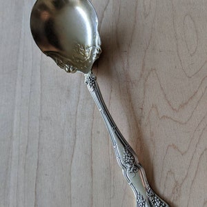 May include: A silver sugar spoon with an ornate design featuring grapes and leaves. The spoon has a rounded bowl and a long, slender handle.