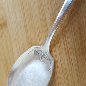 May include: A silver serving spoon with an ornate design on the bowl. The spoon has a long, slender handle.