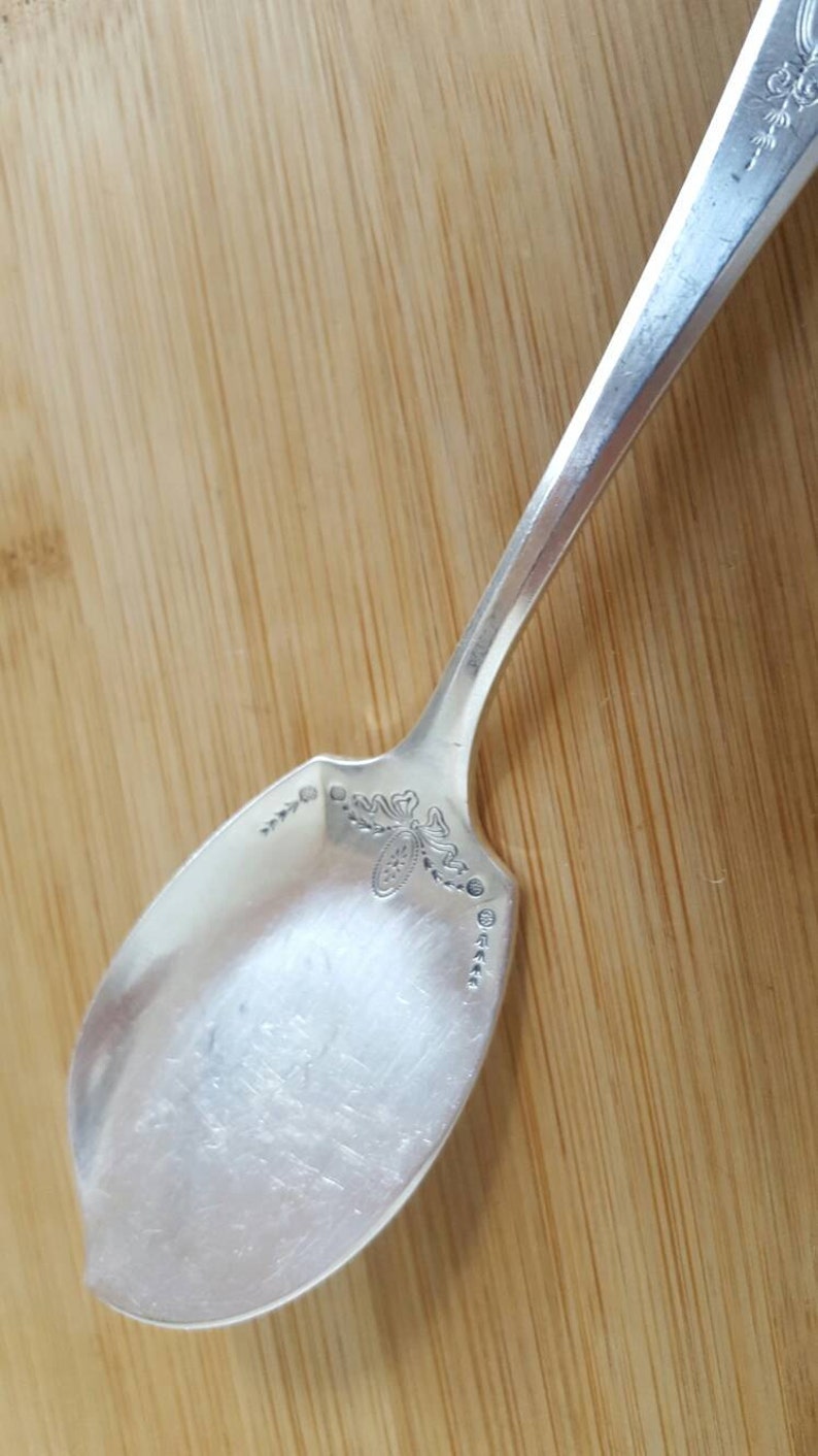 May include: A silver serving spoon with an ornate design on the bowl. The spoon has a long, slender handle.