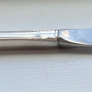 May include: A silver butter knife with an ornate handle. The blade is smooth and shiny.