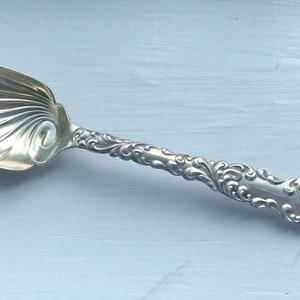 May include: A silver sugar spoon with an ornate handle and a shell-shaped bowl. The handle is engraved with the word "Fernanda".