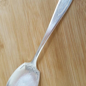 May include: A silver serving spoon with an ornate design and the inscription "Community Plate" on the handle.