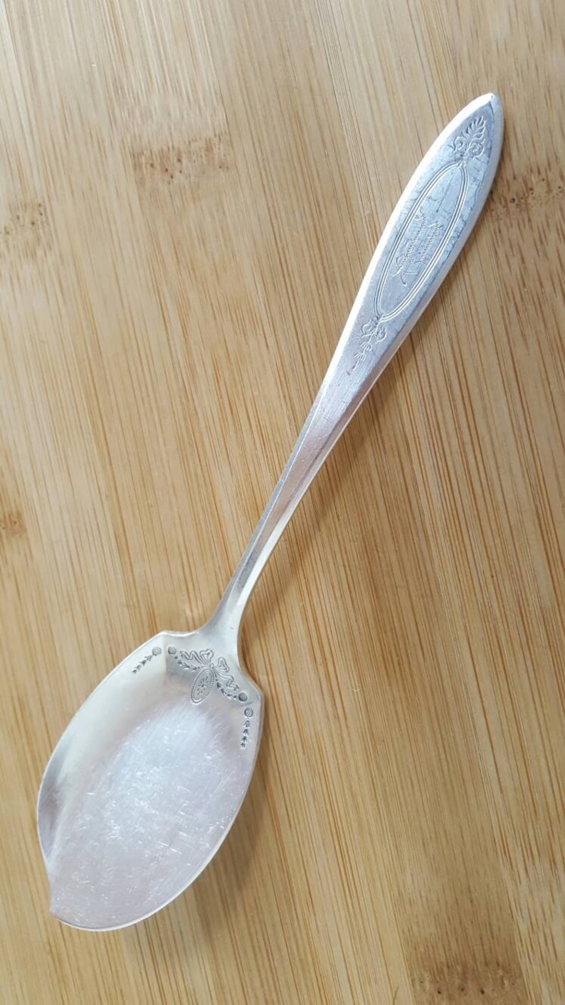 May include: A silver serving spoon with an ornate design and the inscription "Community Plate" on the handle.