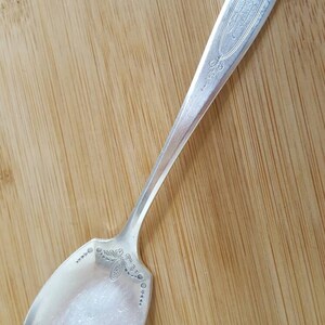 May include: A silver serving spoon with an ornate design on the handle and a wide, rounded bowl. The spoon is engraved with the text "Community Plate" and "Made in USA".
