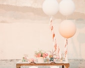 Blush and White Jumbo Balloon Set With Long Tassel Garland