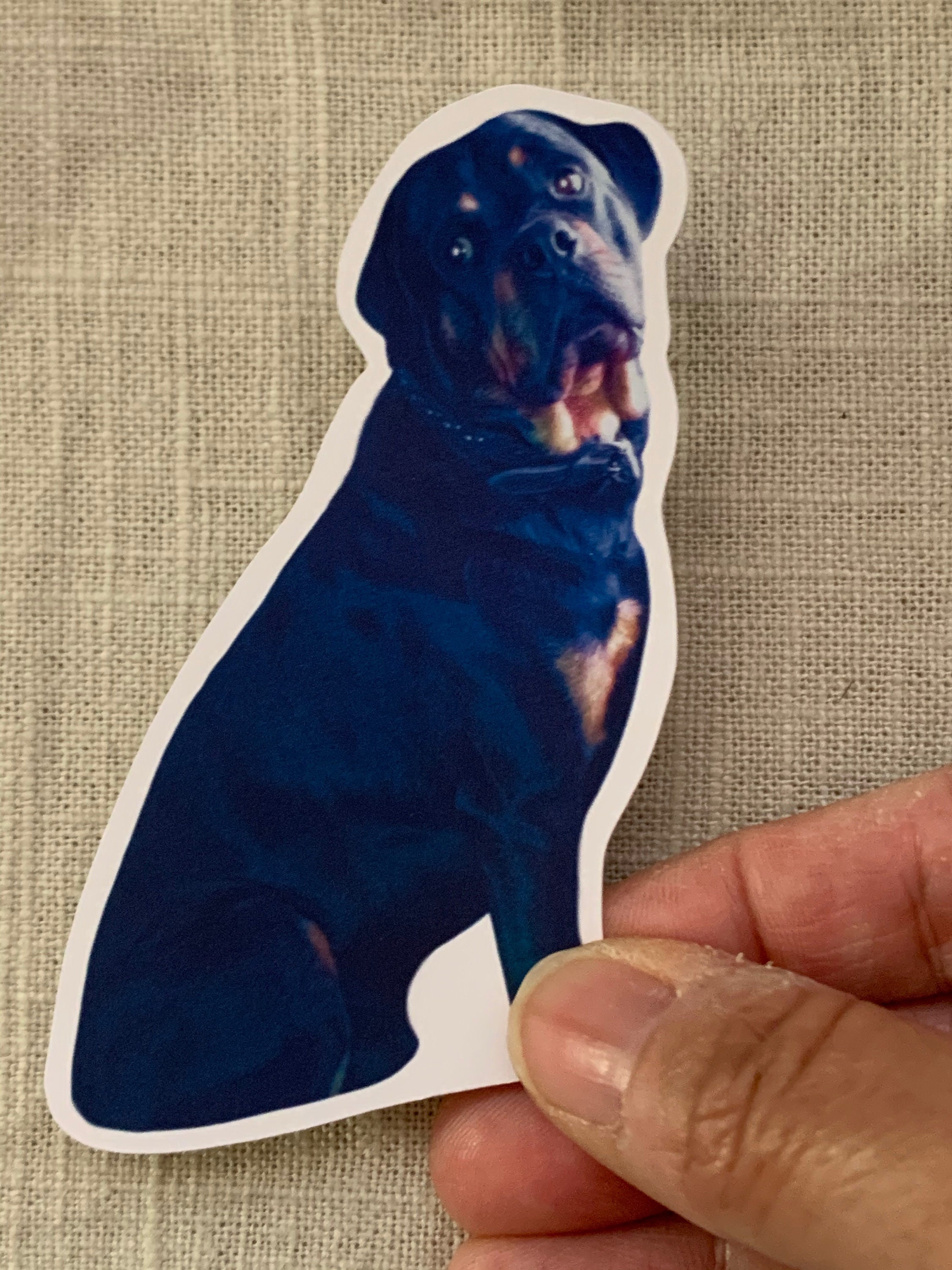 Personalized Dog Stickers Dog Pictures Dog Moms Animal Etsy
