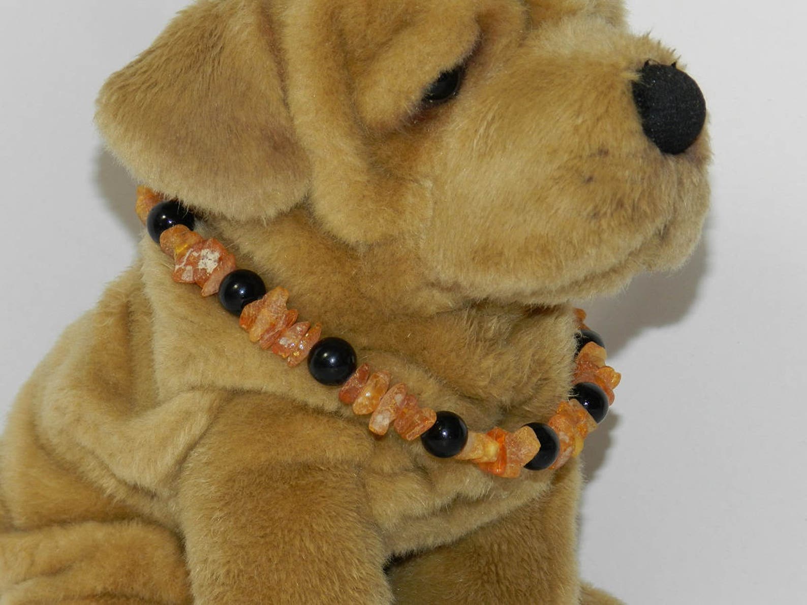 Dog amber collar Clearance