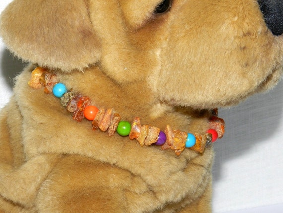 amber cat collar