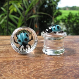 May include: A pair of glass ear gauges with a teal blue ladybug design. The ladybug has black spots and white accents. The gauges are clear glass and have a rounded shape.