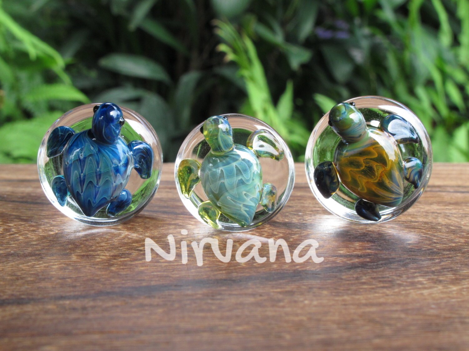 Exotic Blue Turtle Pyrex Glass Plugs 2g 0g 00g 7/16 Etsy
