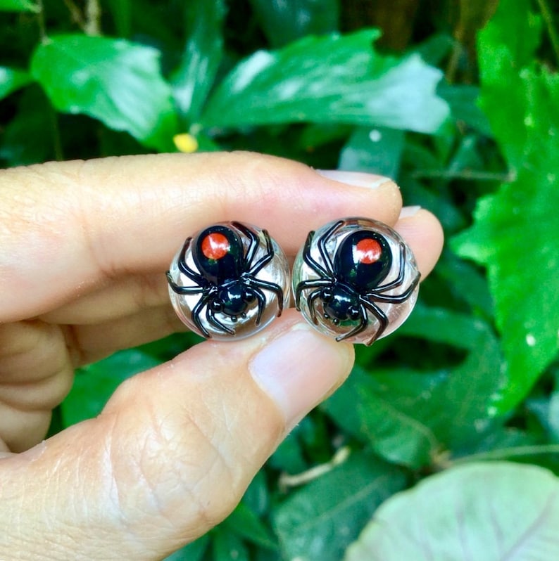 25 mm Black Widow Spider with Dark Red Spots Glass Plugs 4g 2g 0g 00g 716 12 916 58 34 1 5 mm 6 mm 8 mm 10 mm 12 mm 14 mm 16 mm