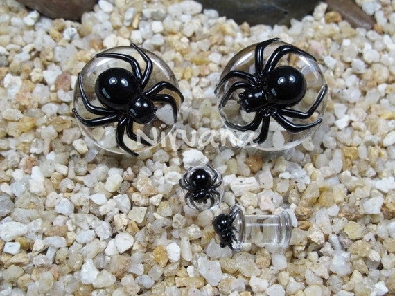 25 mm Black Widow Spider with Dark Red Spots Glass Plugs 4g 2g 0g 00g 716 12 916 58 34 1 5 mm 6 mm 8 mm 10 mm 12 mm 14 mm 16 mm