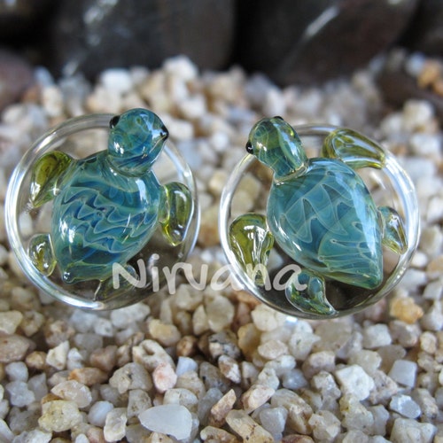 Earth Turtles Pyrex Glass Plugs 1 Pair 2g 0g 00g 7/16 - Etsy