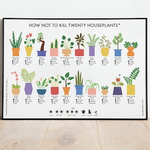 How Not to Kill Twenty Houseplants Poster A4 / A3 / A2 Houseplants Care Print, Plants Wall Art, Cacti, Plant Lovers Gift, Nature Lover image 1