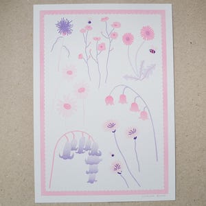 Wildflowers Riso Print A4 - Flowers Wall Art, British Plants, Garden Art, Risograph, Gardening Gift, Nature Artwork