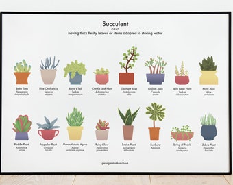 Succulents Houseplant Poster A4 / A3 - Houseplants Print, Plants Wall Art, Cacti, Succulents, Plant Lovers Gift, Nature Lover