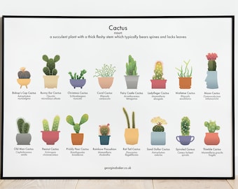 Cactus Houseplant Print A4 / A3 - Houseplants Print, Plants Wall Art, Cacti, Succulents,  Plant Lovers Gift, Nature Lover