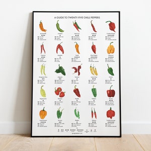 Chilli Peppers Guide Poster A4/A3/A2 Kitchen Print, Food Wall Art, Recipes, Cooking Decor, Dining Room, Home Print, Hot Chillies, World image 1