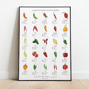 Chilli Peppers Guide Poster A4/A3/A2 Kitchen Print, Food Wall Art, Recipes, Cooking Decor, Dining Room, Home Print, Hot Chillies, World image 1