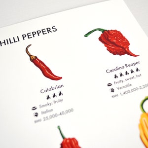 Chilli Peppers Guide Poster A4/A3/A2 Kitchen Print, Food Wall Art, Recipes, Cooking Decor, Dining Room, Home Print, Hot Chillies, World image 5