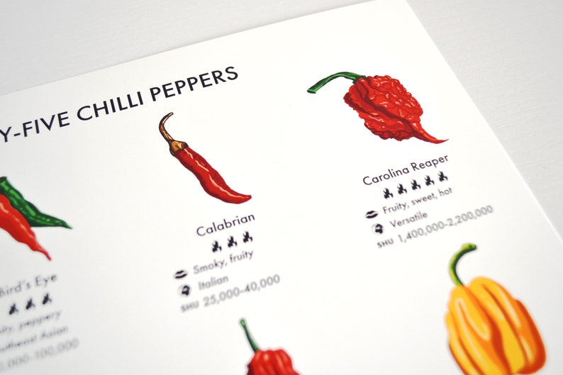 Chilli Peppers Guide Poster A4/A3/A2 Kitchen Print, Food Wall Art, Recipes, Cooking Decor, Dining Room, Home Print, Hot Chillies, World image 5