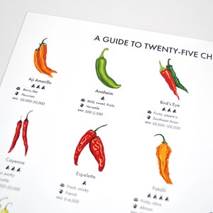 Chilli Peppers Guide Poster A4/A3/A2 Kitchen Print, Food Wall Art, Recipes, Cooking Decor, Dining Room, Home Print, Hot Chillies, World image 3