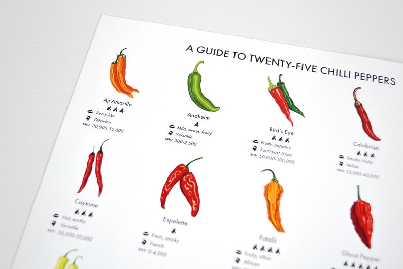 Chilli Peppers Guide Poster A4/A3/A2 Kitchen Print, Food Wall Art, Recipes, Cooking Decor, Dining Room, Home Print, Hot Chillies, World image 3