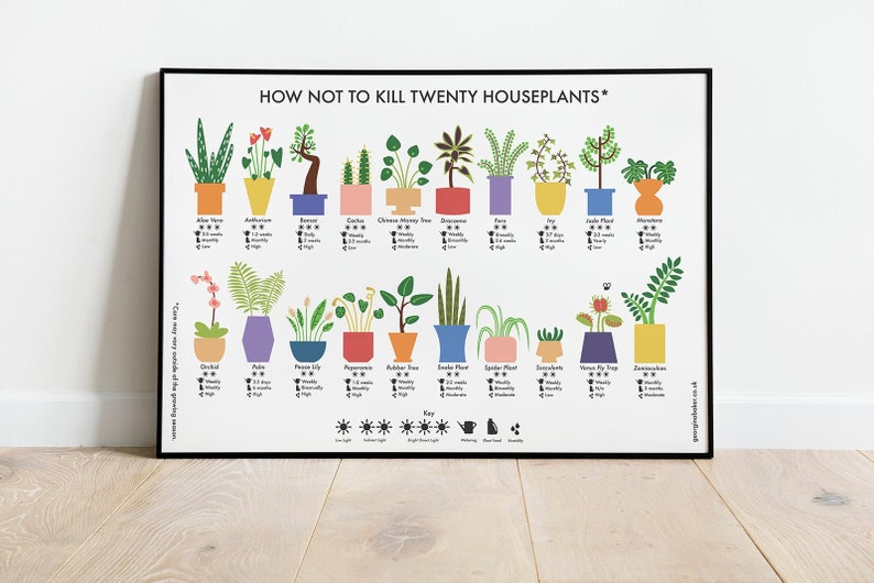 How Not to Kill Twenty Houseplants Poster A4 / A3 / A2 Houseplants Care Print, Plants Wall Art, Cacti, Plant Lovers Gift, Nature Lover image 1