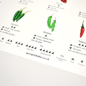 Chilli Peppers Guide Poster A4/A3/A2 Kitchen Print, Food Wall Art, Recipes, Cooking Decor, Dining Room, Home Print, Hot Chillies, World image 9