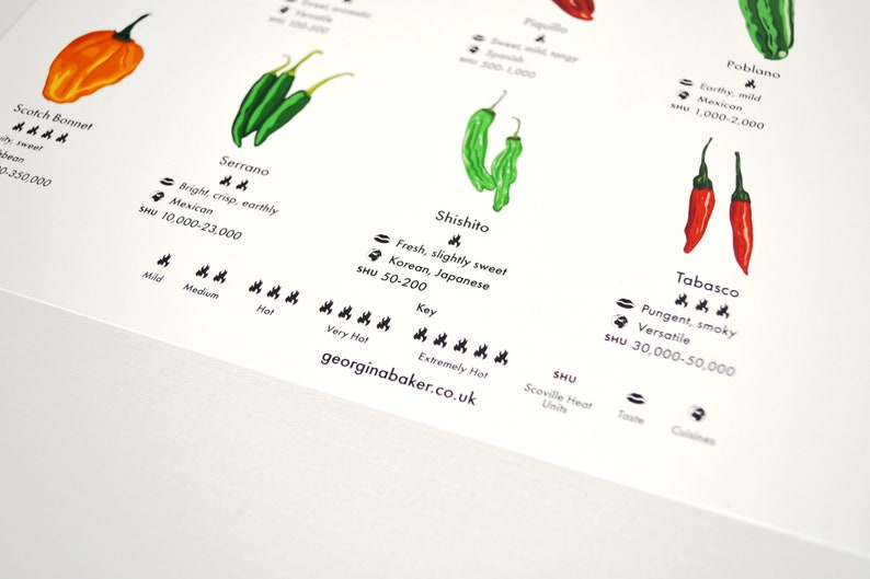 Chilli Peppers Guide Poster A4/A3/A2 Kitchen Print, Food Wall Art, Recipes, Cooking Decor, Dining Room, Home Print, Hot Chillies, World image 9