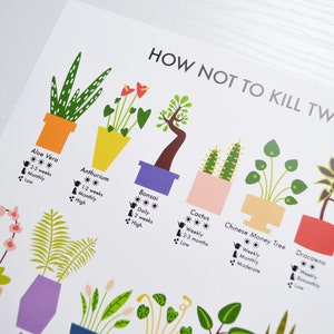 How Not to Kill Twenty Houseplants Poster A4 / A3 / A2 Houseplants Care Print, Plants Wall Art, Cacti, Plant Lovers Gift, Nature Lover image 3