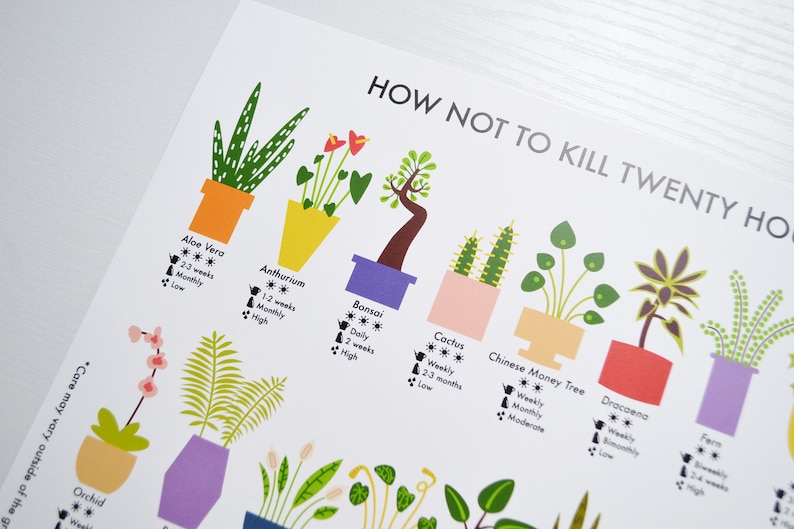 How Not to Kill Twenty Houseplants Poster A4 / A3 / A2 Houseplants Care Print, Plants Wall Art, Cacti, Plant Lovers Gift, Nature Lover image 3