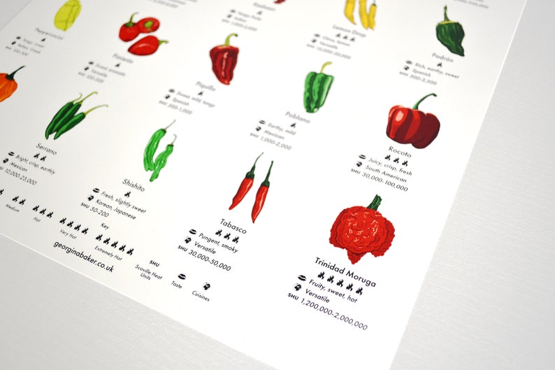 Chilli Peppers Guide Poster A4/A3/A2 Kitchen Print, Food Wall Art, Recipes, Cooking Decor, Dining Room, Home Print, Hot Chillies, World image 8