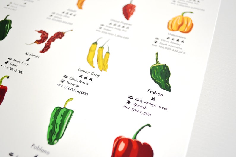 Chilli Peppers Guide Poster A4/A3/A2 Kitchen Print, Food Wall Art, Recipes, Cooking Decor, Dining Room, Home Print, Hot Chillies, World image 7